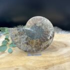 Ammoniet paar van 484 gram met duidelijk zichtbaar fossiel patroon, Gepolijst ammoniet paar met spiraalvormige structuur, Fossiel ammoniet paar met natuurlijke aardetinten en glans, Ammoniet fossielenpaar van 484 gram met unieke details, Decoratief ammoniet paar met spiraal en kristallijne accenten, Ammoniet fossiel paar met warme bruine en beige tinten