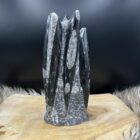 Orthoceras, Orthoceras toren, Orthoceras tower, Fossiele orthoceras. Fossiel, Orthoceras in rustige omgeving