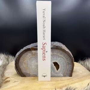 Agaat boekensteun in rustige omgeving, Agaat Boekensteun, Agaat boekensteun met boek
