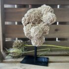 woestijnroos op standaard in interieur, spirituele werking woestijnroos decoratie, natuurlijke woestijnroos edelsteen op standaard, woestijnroos met rozetvorm op sokkel, bijzondere kristalsteen woestijnroos op display