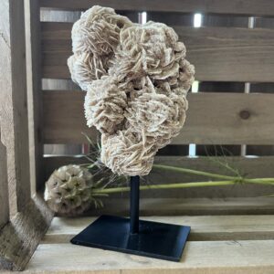 woestijnroos op standaard in interieur, spirituele werking woestijnroos decoratie, natuurlijke woestijnroos edelsteen op standaard, woestijnroos met rozetvorm op sokkel, bijzondere kristalsteen woestijnroos op display