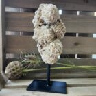 woestijnroos groot op standaard in interieur, spirituele werking woestijnroos decoratie, natuurlijke woestijnroos edelsteen op standaard, woestijnroos met rozetvorm op sokkel, bijzondere kristalsteen woestijnroos op display