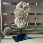 woestijnroos op standaard in interieur, spirituele werking woestijnroos decoratie, natuurlijke woestijnroos edelsteen op standaard, woestijnroos met rozetvorm op sokkel, bijzondere kristalsteen woestijnroos op display