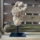 woestijnroos op standaard in interieur, spirituele werking woestijnroos decoratie, natuurlijke woestijnroos edelsteen op standaard, woestijnroos met rozetvorm op sokkel, bijzondere kristalsteen woestijnroos op display