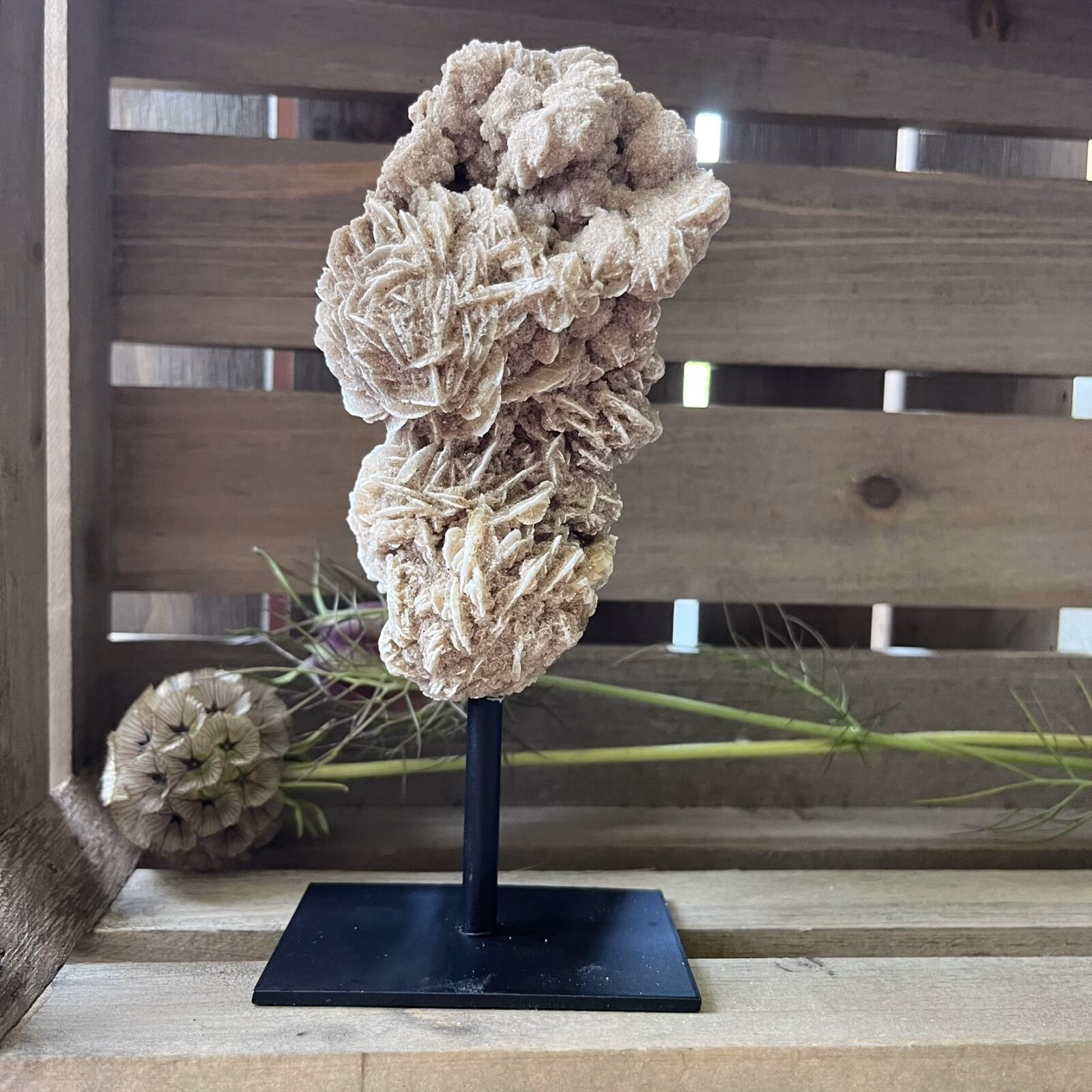 woestijnroos op standaard in interieur, spirituele werking woestijnroos decoratie, natuurlijke woestijnroos edelsteen op standaard, woestijnroos met rozetvorm op sokkel, bijzondere kristalsteen woestijnroos op display