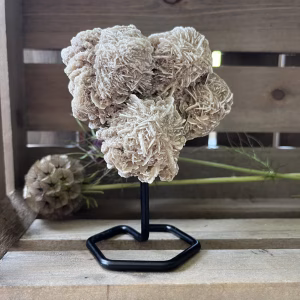 kleine woestijnroos op standaard in interieur, spirituele werking woestijnroos decoratie, natuurlijke woestijnroos edelsteen op standaard, woestijnroos met rozetvorm op sokkel, bijzondere kristalsteen woestijnroos op display