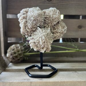 kleine woestijnroos op standaard in interieur, spirituele werking woestijnroos decoratie, natuurlijke woestijnroos edelsteen op standaard, woestijnroos met rozetvorm op sokkel, bijzondere kristalsteen woestijnroos op display