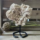 woestijnroos op standaard in interieur, spirituele werking woestijnroos decoratie, natuurlijke woestijnroos edelsteen op standaard, woestijnroos met rozetvorm op sokkel, bijzondere kristalsteen woestijnroos op display