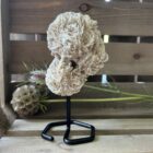 woestijnroos op standaard in interieur, spirituele werking woestijnroos decoratie, natuurlijke woestijnroos edelsteen op standaard, woestijnroos met rozetvorm op sokkel, bijzondere kristalsteen woestijnroos op display