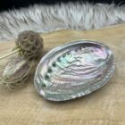Glanzende Abalone schelp met parelmoer in natuurlijke lichtval, Abalone schelp gebruikt tijdens smudgeritueel met salie, Detailfoto van de binnenkant van een iriserende Abalone schelp, Abalone schelp op een houten altaar met edelstenen, Hand die een Abalone schelp vasthoudt in een meditatieve setting
