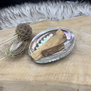 Glanzende Abalone schelp met parelmoer in natuurlijke lichtval, Abalone schelp gebruikt tijdens smudgeritueel met salie, Detailfoto van de binnenkant van een iriserende Abalone schelp, Abalone schelp op een houten altaar met edelstenen, Hand die een Abalone schelp vasthoudt in een meditatieve setting