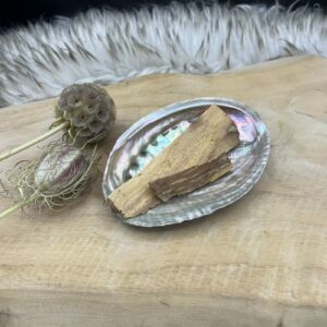 Glanzende Abalone schelp met parelmoer in natuurlijke lichtval, Abalone schelp gebruikt tijdens smudgeritueel met salie, Detailfoto van de binnenkant van een iriserende Abalone schelp, Abalone schelp op een houten altaar met edelstenen, Hand die een Abalone schelp vasthoudt in een meditatieve setting