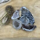 Smalle Agaat Geode Flat met glinsterende kristallen van dichtbij, Agaat geode op een altaar met salie en bergkristal, Detail van kristalvorming in een kleine Agaat Geode, Intuïtief gekozen Agaat Geode Flat op houten ondergrond, Hand met een Agaat Geode Flat tijdens meditatie