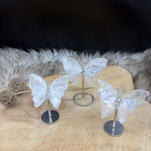 kwarts vlinder op standaard van helder kristal, edelsteen vlinder 30 gram met zilveren standaard, geslepen kwarts vlinder op standaard, kleine kwarts vlinder op houder, spirituele vlinder van helder kwarts, edelsteen vlinder op zilveren voet