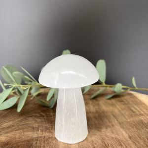 Witte seleniet paddenstoel 7,5 cm 136 g, Spirituele paddenstoel van witte seleniet, Seleniet paddenstoel decoratief object, Edelsteen paddenstoel wit 136 gram, Seleniet paddenstoel kruinchakra 7,5 cm, Kristallen paddenstoel van witte seleniet