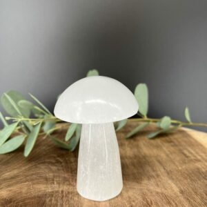 Witte seleniet paddenstoel 7,5 cm 136 g, Spirituele paddenstoel van witte seleniet, Seleniet paddenstoel decoratief object, Edelsteen paddenstoel wit 136 gram, Seleniet paddenstoel kruinchakra 7,5 cm, Kristallen paddenstoel van witte seleniet