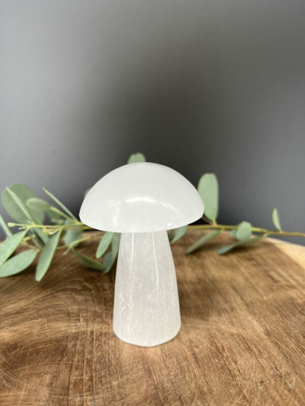 Witte seleniet paddenstoel 7,5 cm 136 g, Spirituele paddenstoel van witte seleniet, Seleniet paddenstoel decoratief object, Edelsteen paddenstoel wit 136 gram, Seleniet paddenstoel kruinchakra 7,5 cm, Kristallen paddenstoel van witte seleniet