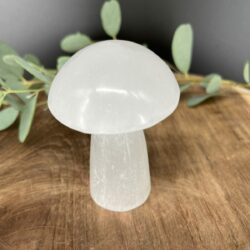 Witte seleniet paddenstoel 7,5 cm 136 g, Spirituele paddenstoel van witte seleniet, Seleniet paddenstoel decoratief object, Edelsteen paddenstoel wit 136 gram, Seleniet paddenstoel kruinchakra 7,5 cm, Kristallen paddenstoel van witte seleniet