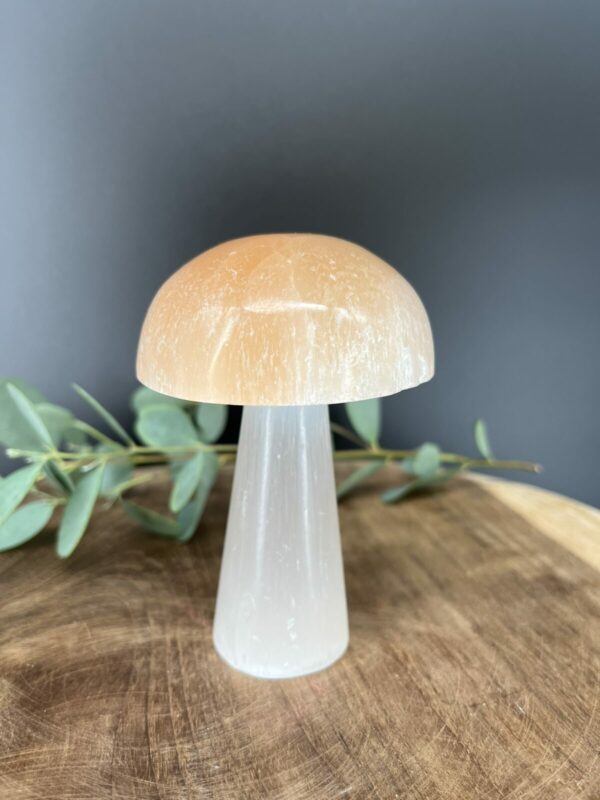 seleniet paddenstoel wit oranje, witte en oranje seleniet paddenstoel, spirituele seleniet paddenstoel 10 cm, natuurlijke seleniet paddenstoel oranje hoed, seleniet paddenstoel decoratie en werking, edelsteen paddenstoel wit oranje seleniet
