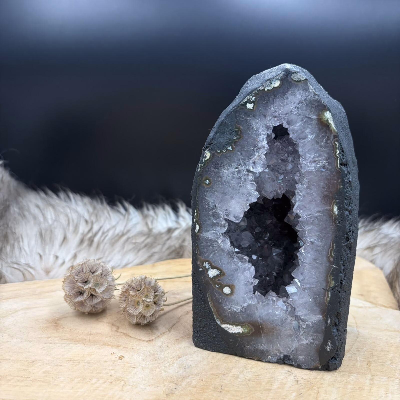 ijaanzicht van de amethist kathedraal 16 cm hoog met de donkere vulkanische matrix zichtbaar aan de buitenkant.