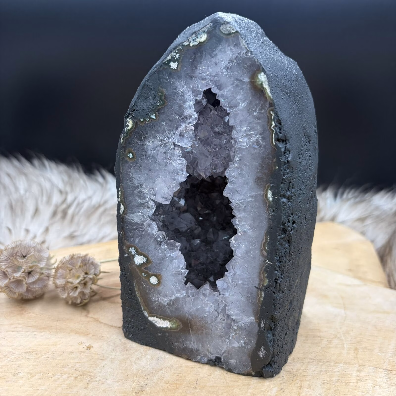 ijaanzicht van de amethist kathedraal 16 cm hoog met de donkere vulkanische matrix zichtbaar aan de buitenkant.