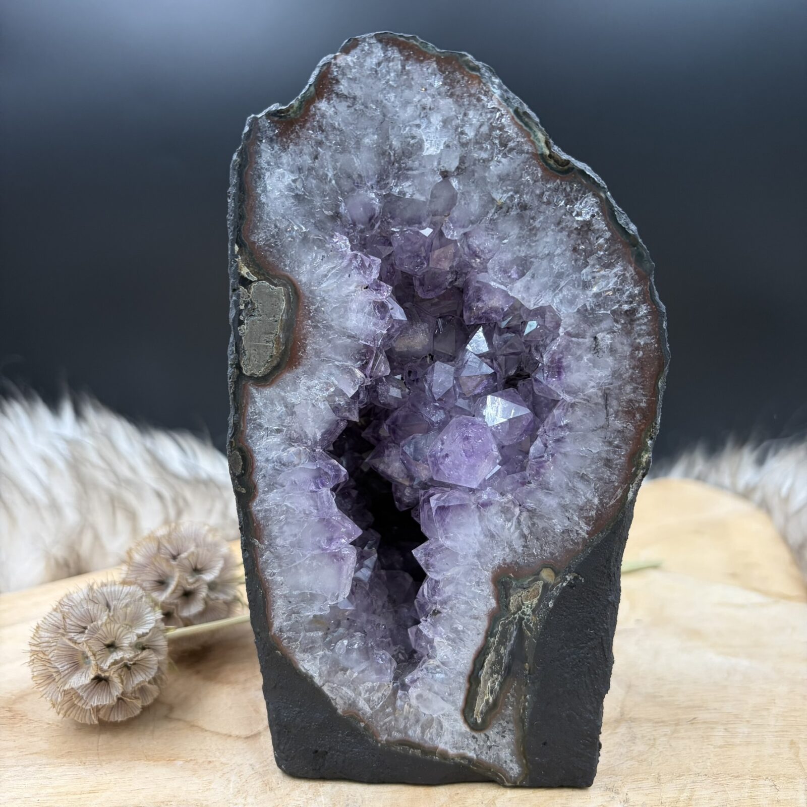 Vooraanzicht van een Ruw Amethist Kathedraaltje van 1118 gram met helder paarse kristallen. Detail van de schitterende kristalholte binnenin het Ruw Amethist Kathedraaltje. Zijaanzicht van de ruwe buitenkant van het Amethist Kathedraaltje. Het Amethist Kathedraaltje staand op een lichte ondergrond om de afmetingen te tonen.