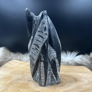 orthoceras fossiel 1543 gram 20 cm lang, oeroude inktvis fossiel decoratie, grote orthoceras steen voor aarding, zwart grijs fossiel in huis, orthoceras op houten tafel, fossiel voor zelfvertrouwen, orthoceras inktvis 9 cm breed, versteende inwendige schelp.