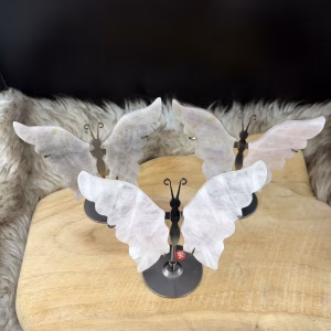 Rozenkwarts vlinder met zilverkleurig lijfje op houten tafel met zwarte achtergond