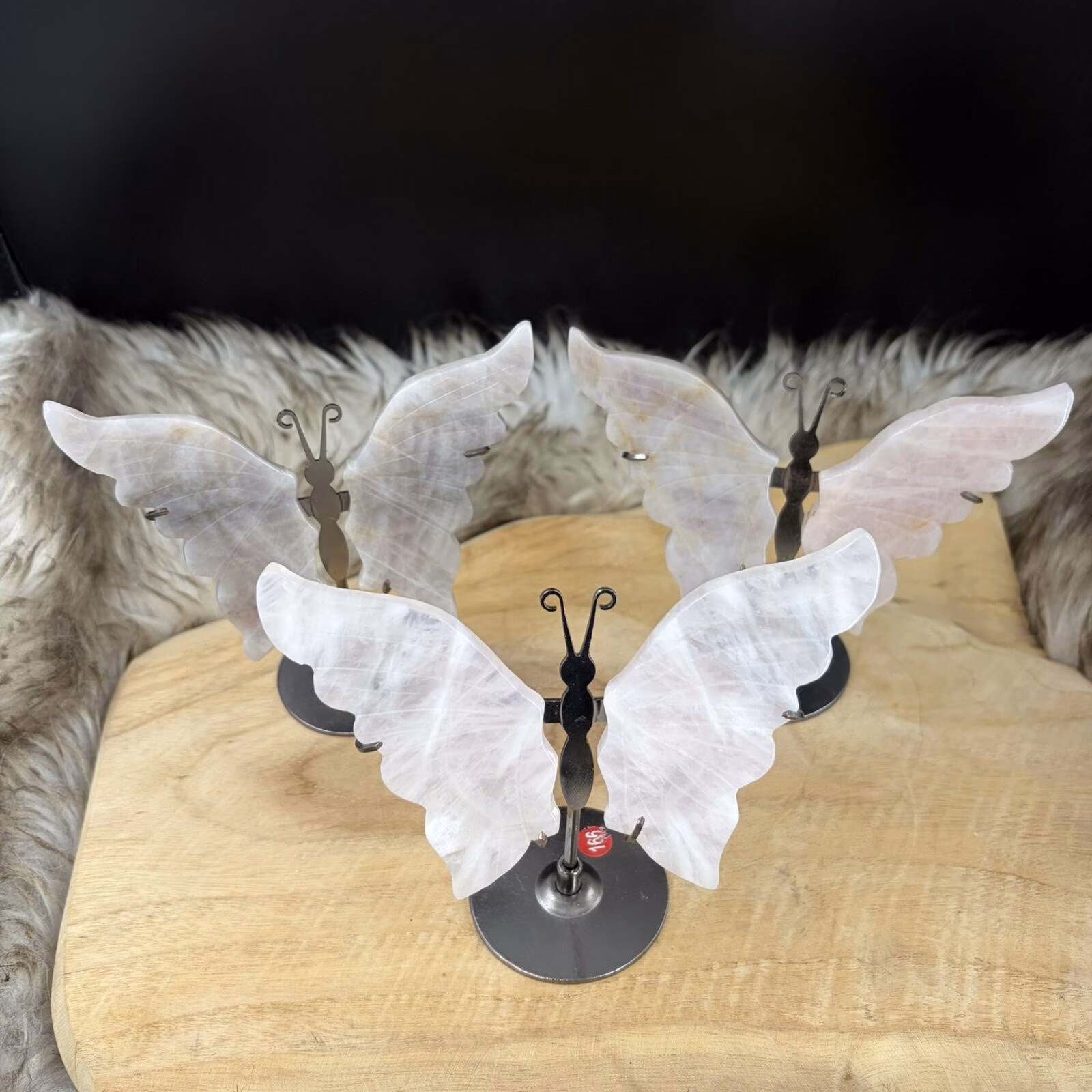 Rozenkwarts vlinder met zilverkleurig lijfje op houten tafel met zwarte achtergond