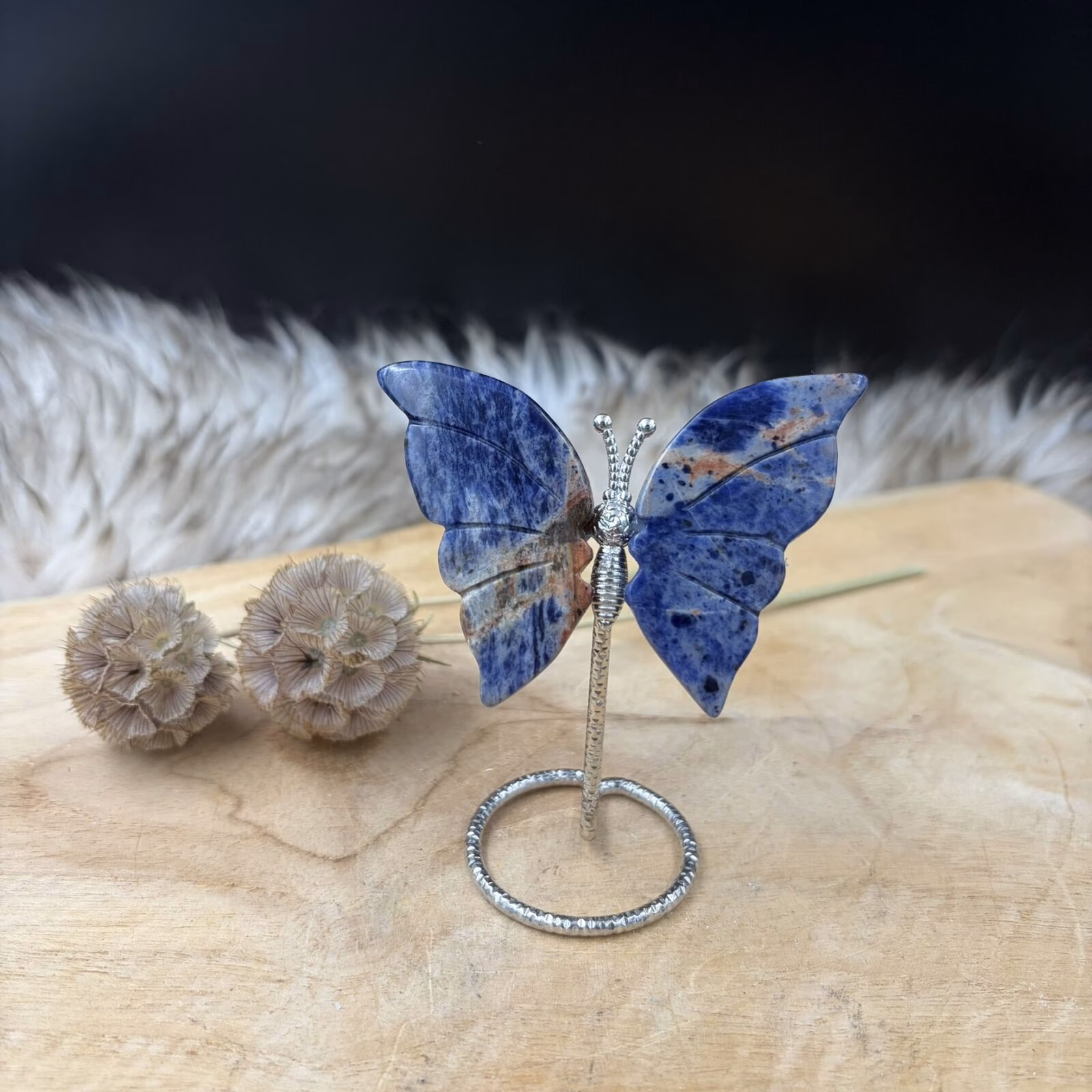 Sodaliet vlinder van natuurlijke edelsteen met zilverkleurige afwerking