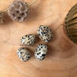 Dalmatiër Jaspis trommelsteen 18 gram voor vrolijkheid en aarding, witte edelsteen met zwarte Toermalijn vlekjes bij Natuursteentje, handgeselecteerde Dalmatiër Jaspis trommelsteen kopen voor een positief humeur, spirituele werking Dalmatiër Jaspis voor het innerlijk kind en bescherming, edelsteen combinatie Dalmatiër Jaspis met Carneool voor extra levenslust, Bergkristal en Dalmatiër Jaspis set voor helderheid en vreugde, unieke gespikkelde trommelsteen uit de webshop van Natuursteentje, natuurlijke Dalmatiër Jaspis passend bij sterrenbeeld Maagd.