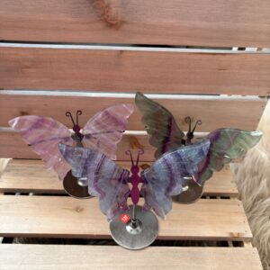 Regenboog Fluoriet Vlinder