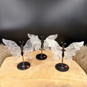 Bergkristal Vlinder Op Standaard