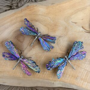 Kyaniet Dragonfly klein Kyaniet libelle (dragonfly klein) met zilveren lijfje en vleugels van kyaniet met aura coating, 10 cm breed.