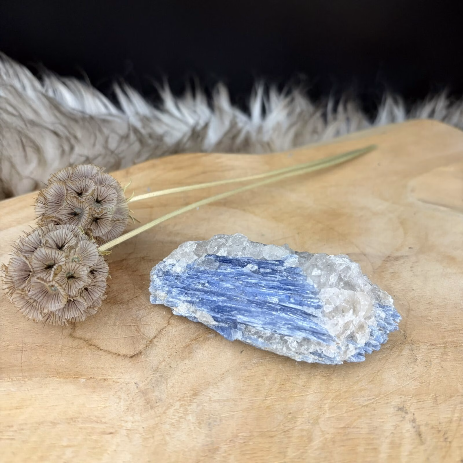 Blauwe Kyaniet van 9 cm lang met een glanzende gelaagde structuur, Detail van de diepblauwe banen in een Kyaniet van 119 gram, Kyaniet mineraal met een trikliene kristalvorm op een lichte achtergrond, Blauwe Kyaniet op een houten tafel voor rust en communicatie in huis.