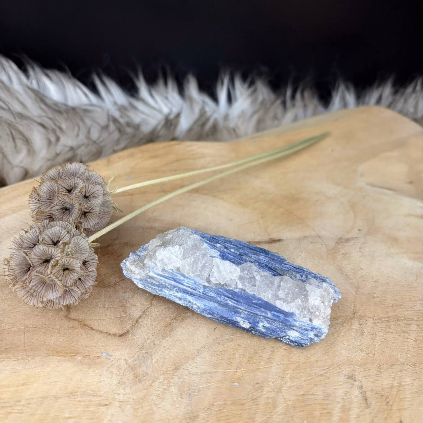 Blauwe Kyaniet van 9 cm lang met een glanzende gelaagde structuur, Detail van de diepblauwe banen in een Kyaniet van 119 gram, Kyaniet mineraal met een trikliene kristalvorm op een lichte achtergrond, Blauwe Kyaniet op een houten tafel voor rust en communicatie in huis.