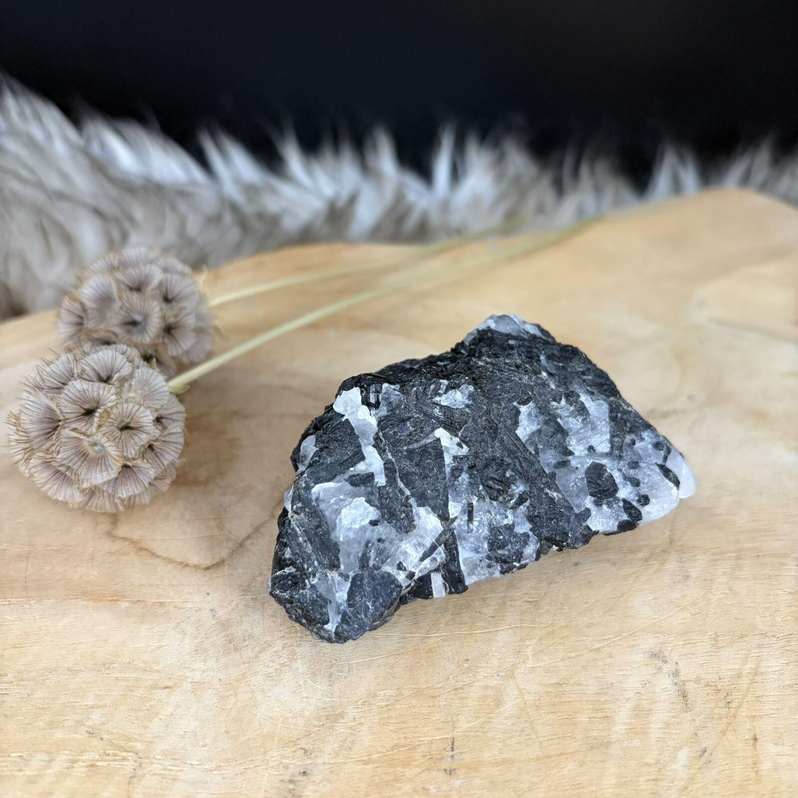 Toermalijnkwarts No.1 van 9 cm lang met zwarte naalden in witte kwarts, Handzaam stuk toermalijnkwarts van 219 gram uit Brazilië voor bescherming, Detail van de zwarte toermalijnnaalden in een geslepen kwartssteen, Toermalijnkwarts No.1 op een houten bureau naast een laptop tegen straling