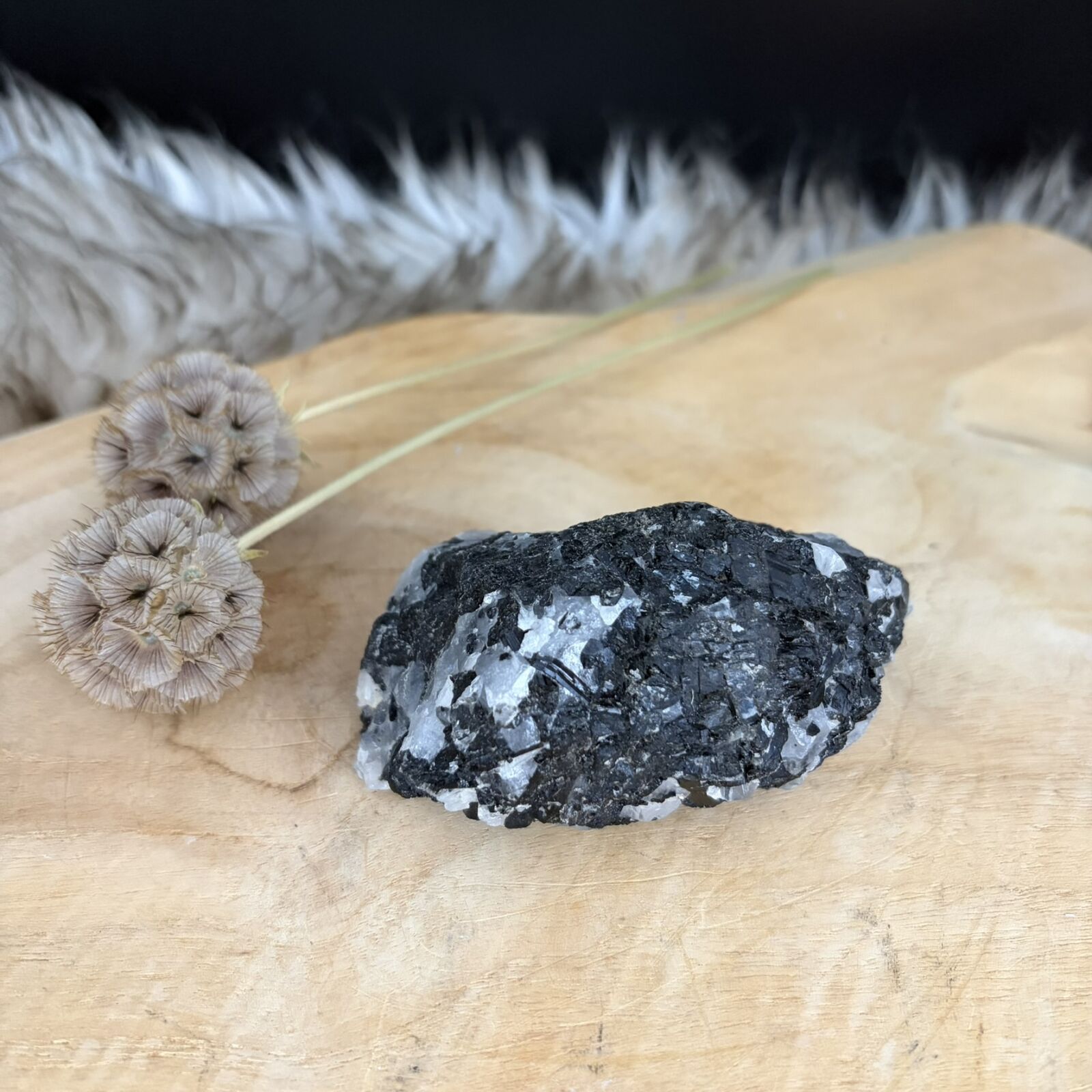 Toermalijnkwarts No.1 van 9 cm lang met zwarte naalden in witte kwarts, Handzaam stuk toermalijnkwarts van 219 gram uit Brazilië voor bescherming, Detail van de zwarte toermalijnnaalden in een geslepen kwartssteen, Toermalijnkwarts No.1 op een houten bureau naast een laptop tegen straling