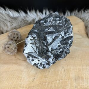 Grote toermalijnkwarts van 12 cm breed uit Brazilie, Toermalijnkwarts van 833 gram voor bescherming tegen straling en onrust, Kristal met zwarte toermalijnnaalden voor zuivering en focus, Detail van zwarte schorl naalden ingesloten in witte kwarts.