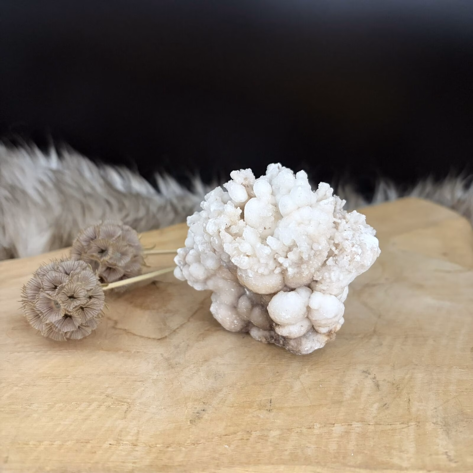 Witte Aragoniet No.1, Witte aragoniet edelsteen uit Marokko 257 gram, zelfstaande witte aragoniet kristal voor concentratie, aragoniet steen voor steenbok en geestelijke groei, witte aragoniet 8 cm breed, natuurlijk mineraal voor wortel en kruinchakra, witte aragoniet tegen nervositeit.