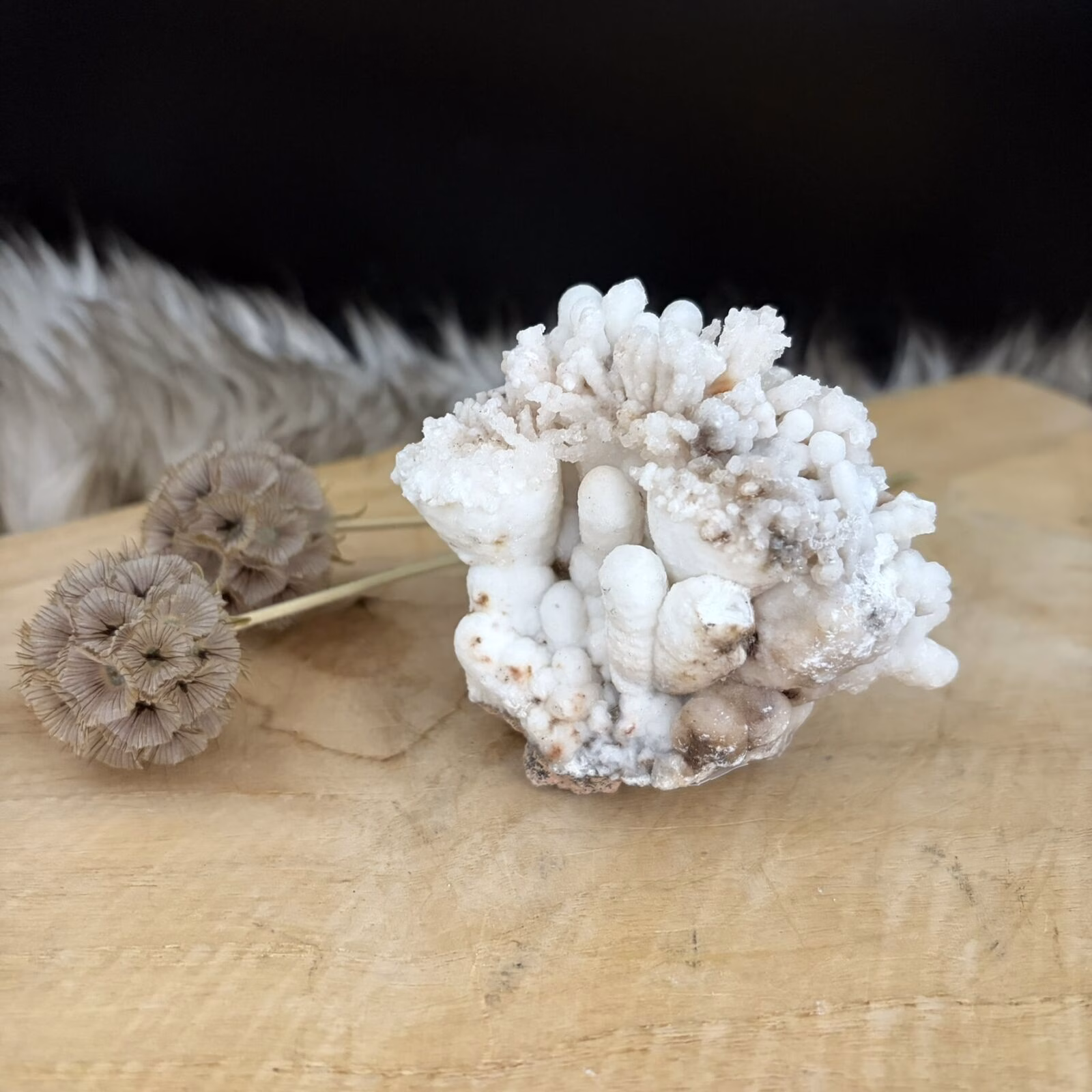 Witte Aragoniet No.1, Witte aragoniet edelsteen uit Marokko 257 gram, zelfstaande witte aragoniet kristal voor concentratie, aragoniet steen voor steenbok en geestelijke groei, witte aragoniet 8 cm breed, natuurlijk mineraal voor wortel en kruinchakra, witte aragoniet tegen nervositeit.