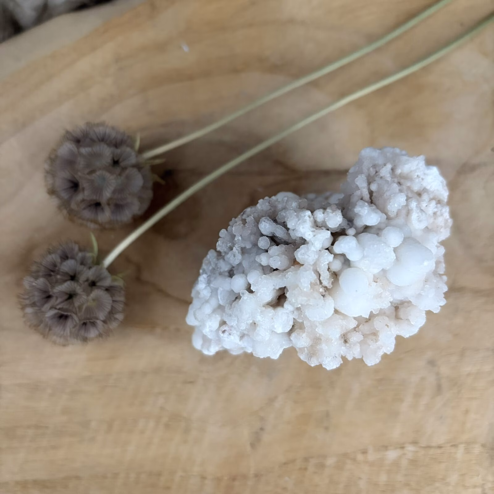 Witte Aragoniet No.1, Witte aragoniet edelsteen uit Marokko 257 gram, zelfstaande witte aragoniet kristal voor concentratie, aragoniet steen voor steenbok en geestelijke groei, witte aragoniet 8 cm breed, natuurlijk mineraal voor wortel en kruinchakra, witte aragoniet tegen nervositeit.