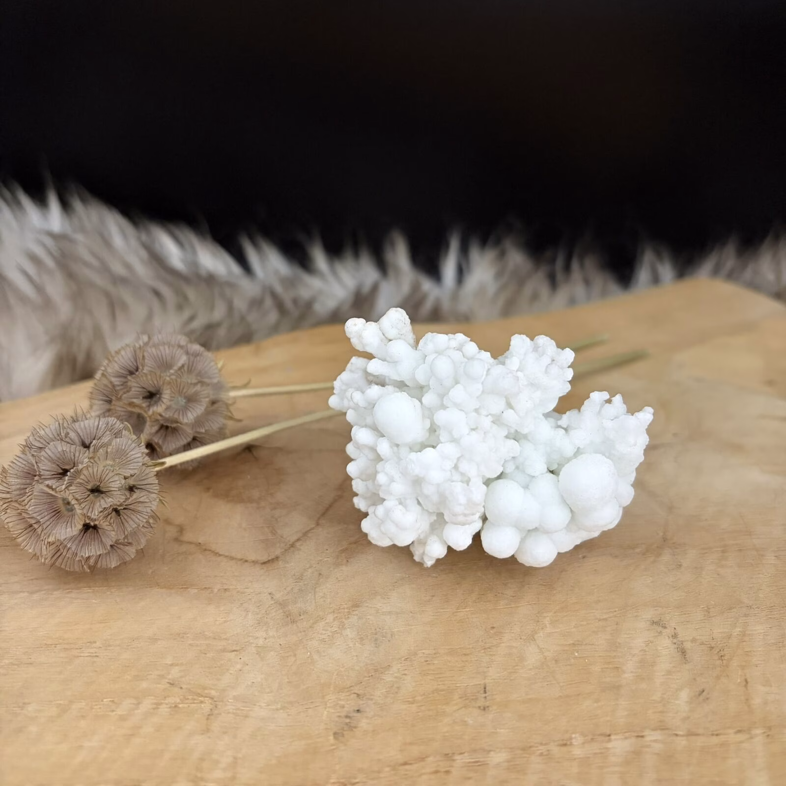Witte Aragoniet, Witte aragoniet edelsteen uit Marokko 135 gram, zelfstaande witte aragoniet kristal No.2, aragoniet steen 7 cm breed, witte aragoniet voor concentratie en rust, natuurlijk wit mineraal uit Marokko, witte aragoniet voor steenbok sterrenbeeld.