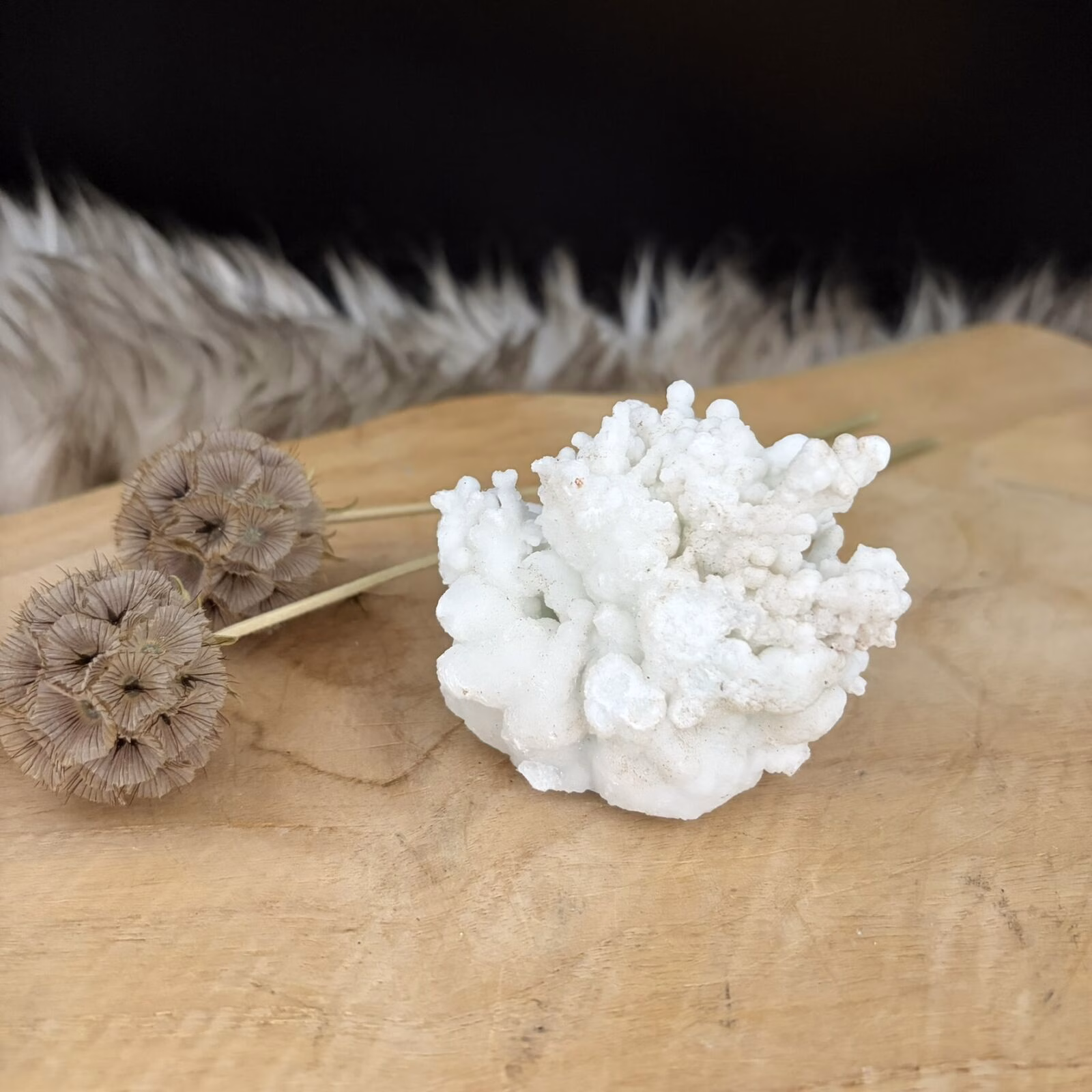 Witte Aragoniet, Witte aragoniet edelsteen uit Marokko 135 gram, zelfstaande witte aragoniet kristal No.2, aragoniet steen 7 cm breed, witte aragoniet voor concentratie en rust, natuurlijk wit mineraal uit Marokko, witte aragoniet voor steenbok sterrenbeeld.