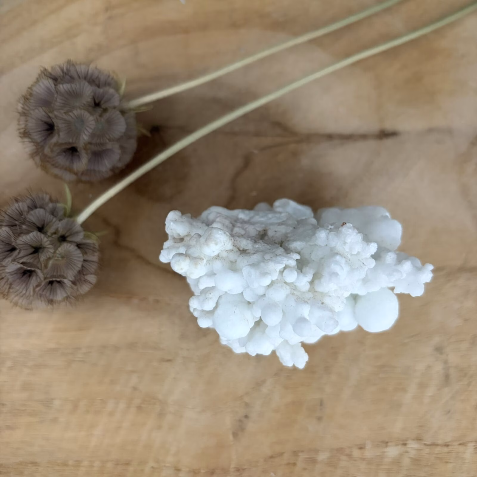 Witte Aragoniet, Witte aragoniet edelsteen uit Marokko 135 gram, zelfstaande witte aragoniet kristal No.2, aragoniet steen 7 cm breed, witte aragoniet voor concentratie en rust, natuurlijk wit mineraal uit Marokko, witte aragoniet voor steenbok sterrenbeeld.