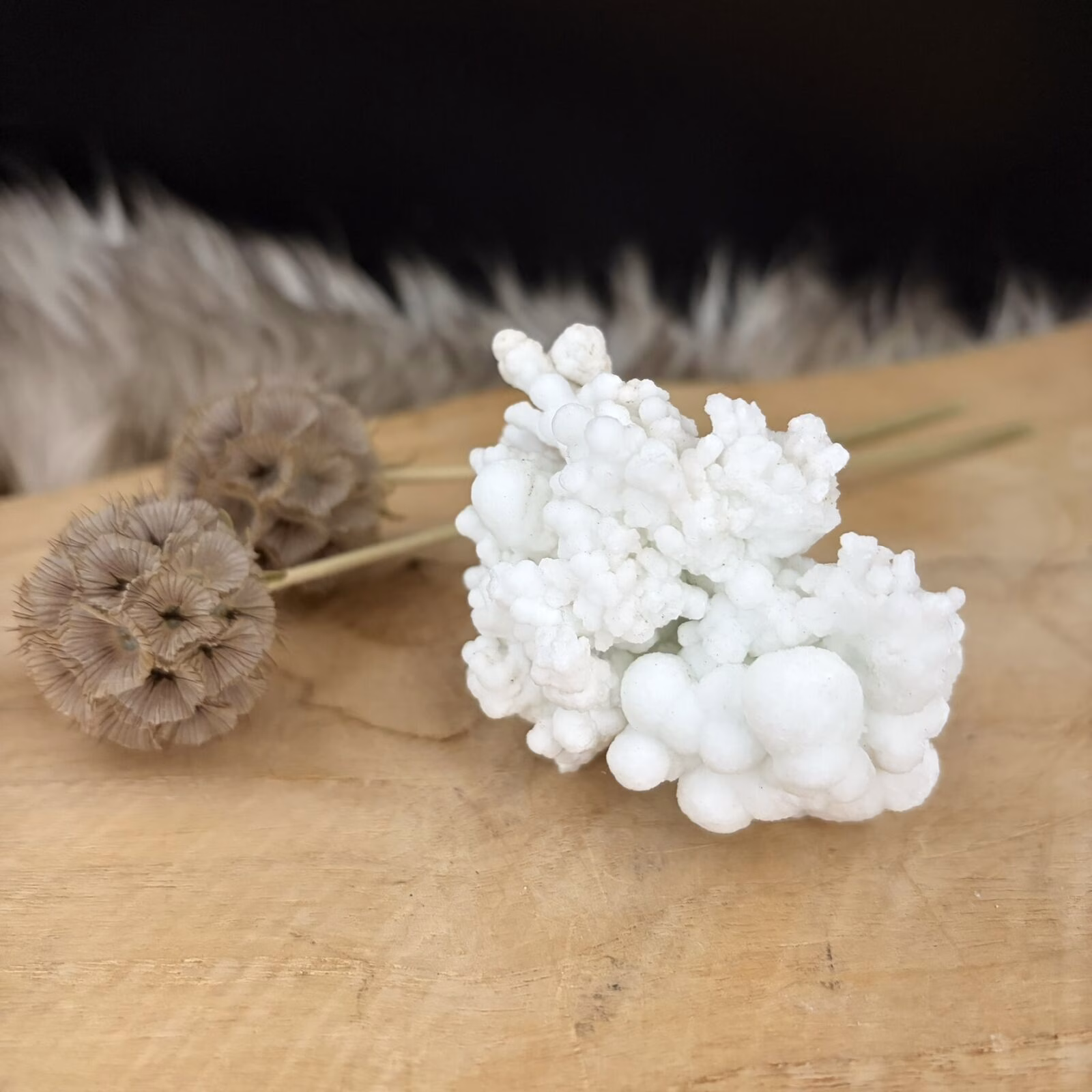 Witte Aragoniet, Witte aragoniet edelsteen uit Marokko 135 gram, zelfstaande witte aragoniet kristal No.2, aragoniet steen 7 cm breed, witte aragoniet voor concentratie en rust, natuurlijk wit mineraal uit Marokko, witte aragoniet voor steenbok sterrenbeeld.