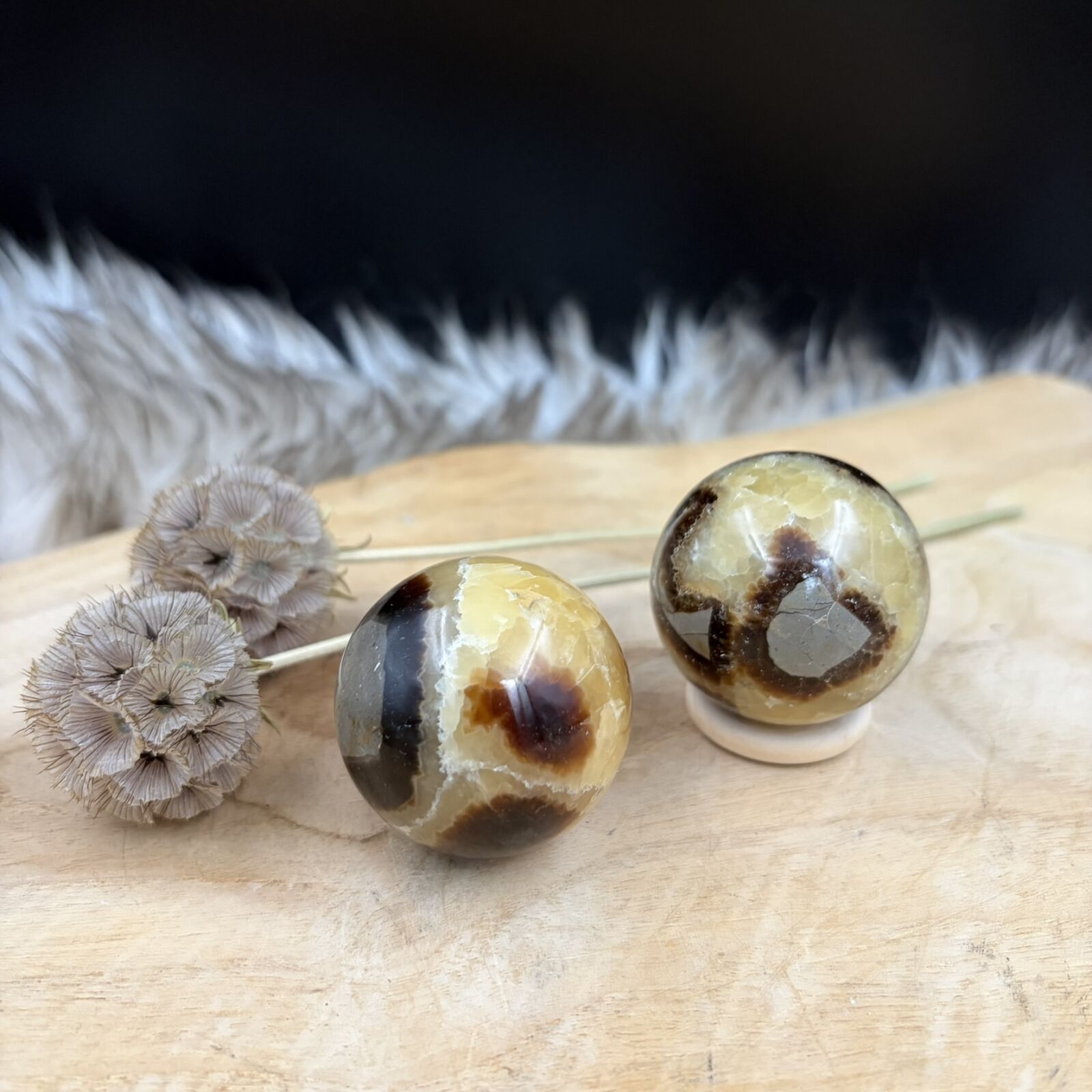 Septarie bol 4 cm op houten tafel en sfeerlicht, septarie bol 100 gram madagaskar, edelsteen bol septarian 4 cm diameter, septarie kristal voor zelfvertrouwen en rust, aardende steen voor sterrenbeeld stier, septarie voor alle chakra's, geslepen edelsteen bol voor interieur, septarian noodle bol tegen frustratie, edelsteen bol op ringetje madagaskar