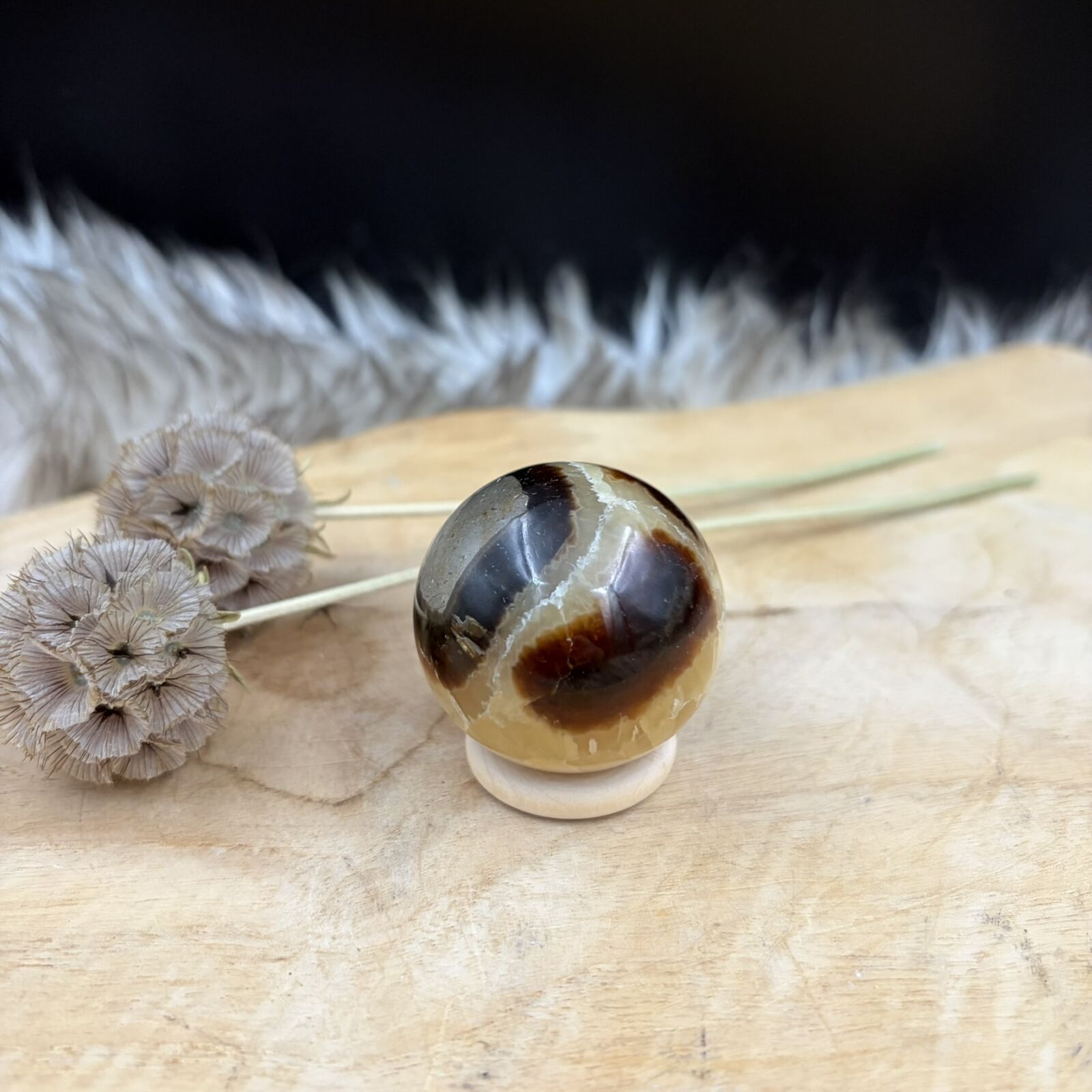 Septarie bol 4 cm op houten tafel en sfeerlicht, septarie bol 100 gram madagaskar, edelsteen bol septarian 4 cm diameter, septarie kristal voor zelfvertrouwen en rust, aardende steen voor sterrenbeeld stier, septarie voor alle chakra's, geslepen edelsteen bol voor interieur, septarian noodle bol tegen frustratie, edelsteen bol op ringetje madagaskar