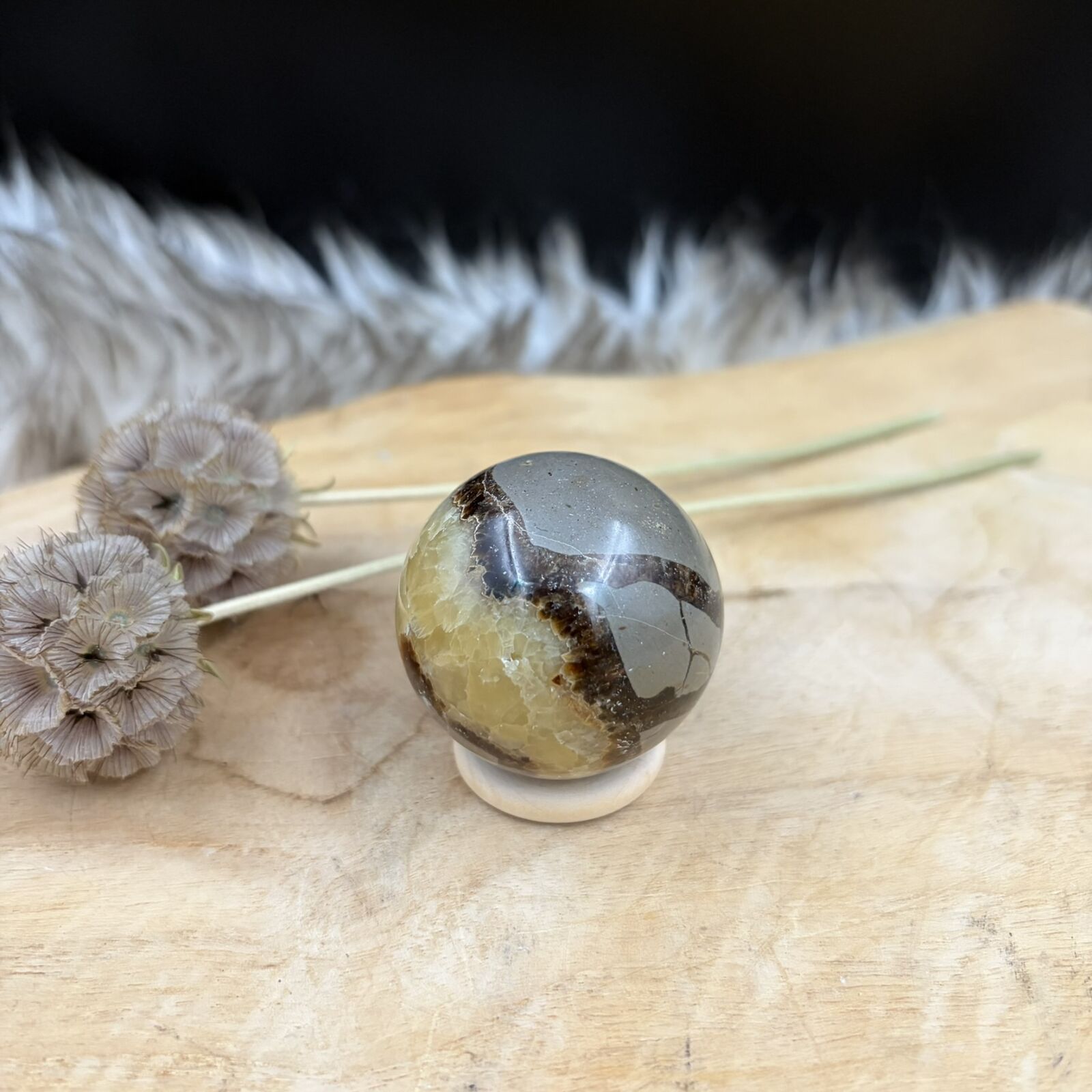 Septarie bol 4 cm op houten tafel en sfeerlicht, septarie bol 100 gram madagaskar, edelsteen bol septarian 4 cm diameter, septarie kristal voor zelfvertrouwen en rust, aardende steen voor sterrenbeeld stier, septarie voor alle chakra's, geslepen edelsteen bol voor interieur, septarian noodle bol tegen frustratie, edelsteen bol op ringetje madagaskar