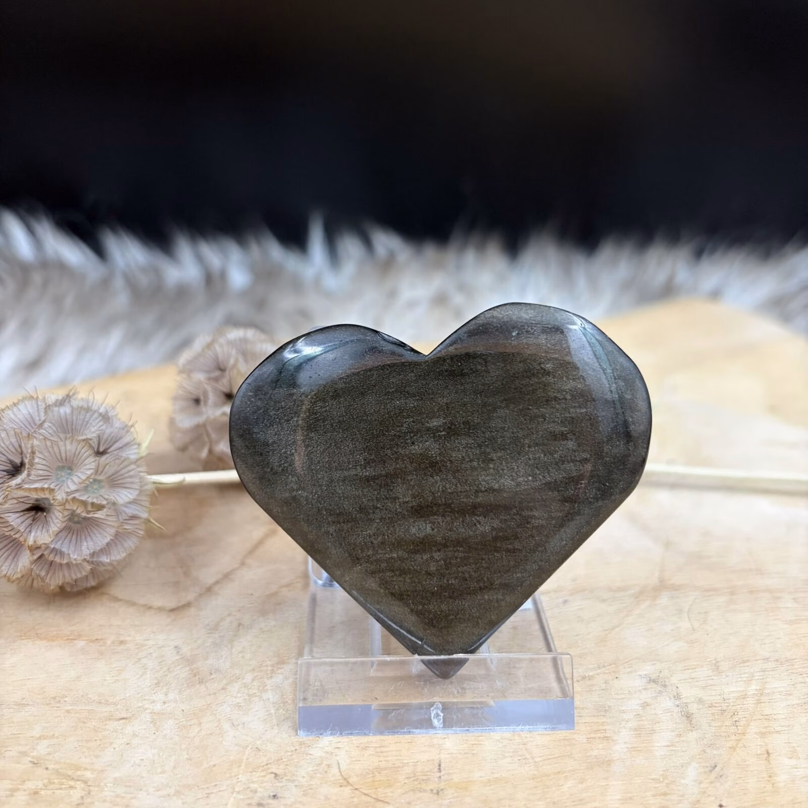 Goud obsidiaan hart met gouden flash gepolijst 4 tot 5 cm edelsteen hart, Goud obsidiaan hart gepolijst met gold sheen glans zwart edelsteen hart, Goud obsidiaan hart met sterke gouden schittering gepolijste obsidiaan steen, Goud obsidiaan hart variabel product edelsteen hart 35 tot 75 gram, Goud obsidiaan hart met gouden gloed gepolijst vulkanisch glas uit Mexico, Goud obsidiaan hart met duidelijke gold sheen flash gepolijste edelsteen, Goud obsidiaan hart zwart met goudkleurige glans handgeslepen hart, Goud obsidiaan hart detail van gouden schittering in obsidiaan steen, Goud obsidiaan hart gepolijst edelsteen hart met gouden lichtreflectie, Goud obsidiaan hart natuurlijke gold sheen obsidiaan gepolijste steen